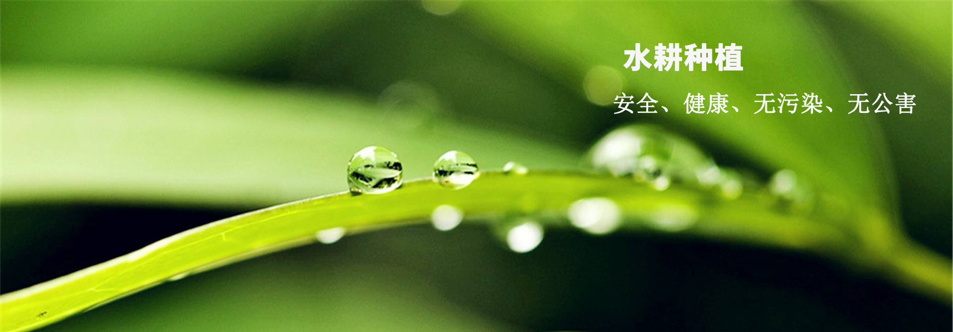 &#20048;&#40060;&#40;&#20013;&#22269;&#41;&#108;&#101;&#121;&#117;